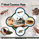 pest control services in dubai