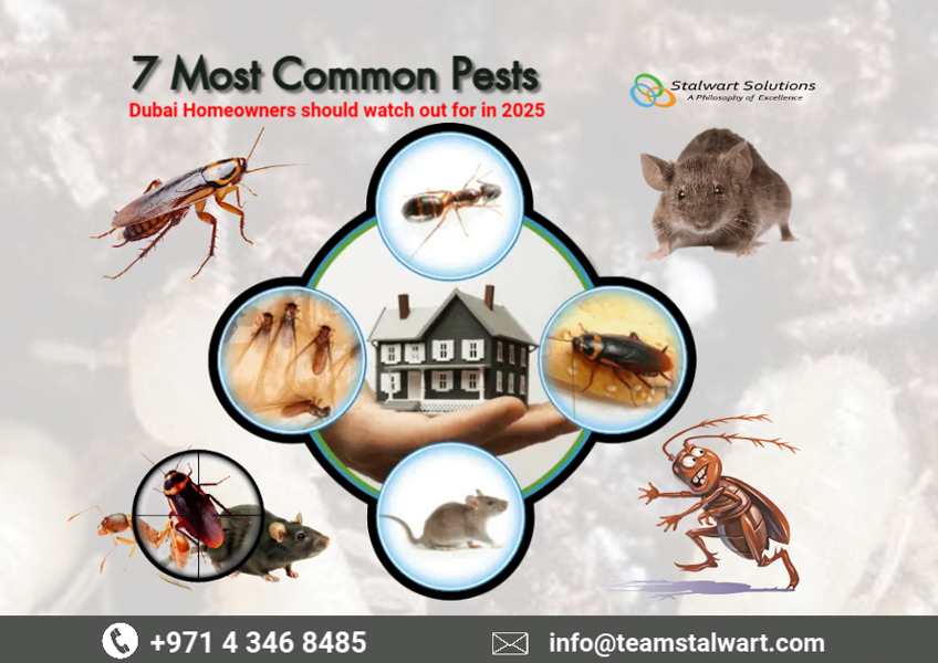 pest control services ras al khaimah