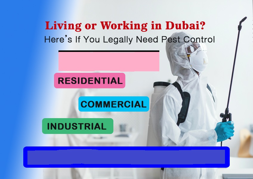 Dubai pest control technician ensuring legal compliance in restaurant kitchen