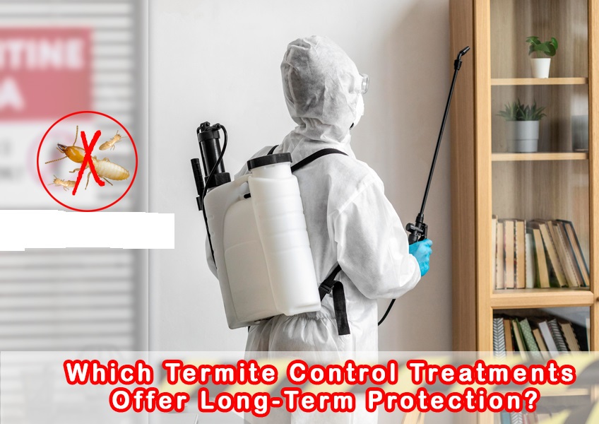 Termite control in Dubai