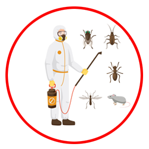 Fumigation Services dubai